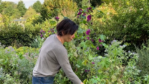 « On travaille avec son jardin, pas contre lui » : à Wanze, le parc naturel Burdinale-Mehaigne lance le label « Api Jardin »
