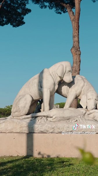 Behind the Scenes of Swimming in Rome