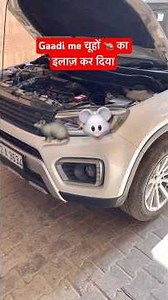 Gaadi me chuho 🐀 🐭 ka permanent solution kar diya | Rats inside car’s cabin