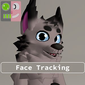 Taidum Face Tracking