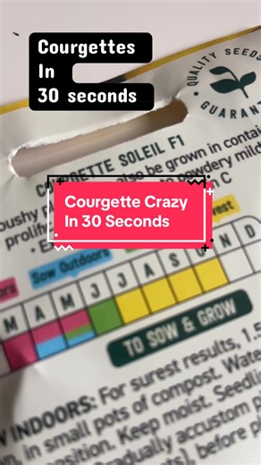 Planting Courgettes: A Fun Indoor Gardening Guide for Kids