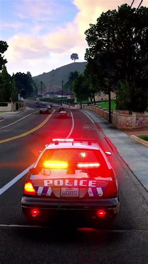 LSPDFR GTA5 police #gta #police #fivem