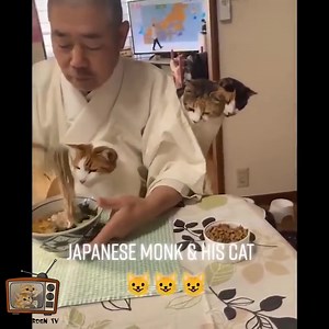 153K views · 962 reactions | Compilation of the funniest and stupidest actions of kittens 藍 So cute! | Cats Life | Facebook