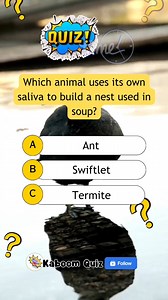 29K views · 1K reactions | What animal is that? #quiz #quiztime #quizreels #popquiz #triviaquiz #generalknowledgequiz #braingame #educational #trivia #sciencequiz #sciencetrivia #animalquiz #animal | Kaboom Quiz | Facebook
