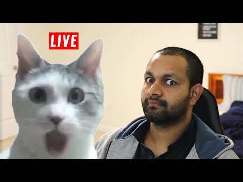 🔴Live coding Personal project expense tracker with OCR and AI | Python | TypeScript