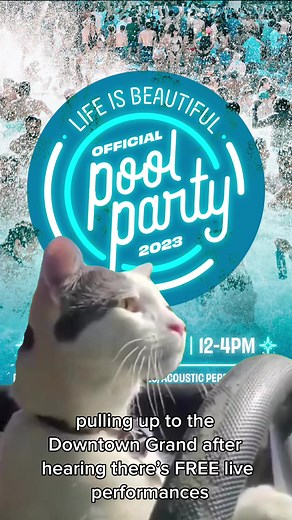1.1K views | You heard it here! The official LIB Pool Party is this weekend at noon. Hotel guests get priority entrance from 9am to 10am. First come, first serve for RSVP guests from 10am to noon.  #meme #lifeisbeautiful #poolparty #downtowngrand #weekendvibes #vegas | Downtown Grand Hotel & Casino | Facebook