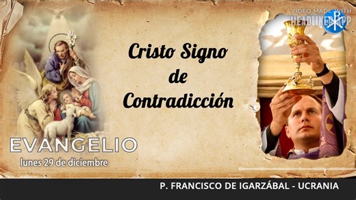 San Lucas 2, 22 – 35 Cuando llegó el tiempo de la purificación, según la ley de Moisés, los padres de Jesús lo llevaron a Jerusalén, para presentarlo al Señor, de acuerdo con lo escrito en la ley del Señor: «Todo primogénito varón será consagrado al Señor», y para entregar la oblación, como dice la ley del Señor: «un par de tórtolas o dos pichones.» Vivía entonces en Jerusalén un hombre llamado Simeón, hombre justo y piadoso, que aguardaba el consuelo de Israel; y el Espíritu Santo moraba en él.