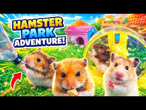 Hamster Daily Routine 🐹 | Eating, Drinking & Running Wild!