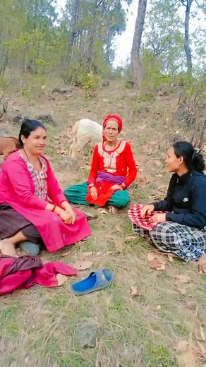gothala gako bela Halka ramailo#@Nirmala Nepali @kanxi❤️ @JEE_DU🌎️💍 @Hari Ram Khadka965 @Lila Kc