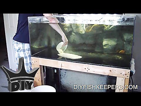 HOW TO: Add Sand To Your Aquarium - CHEAP, CLEAN and SAFE!