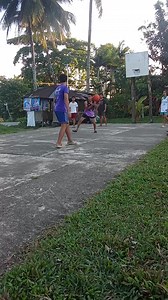 51K views · 185 reactions | High fly jellyfish lay up...