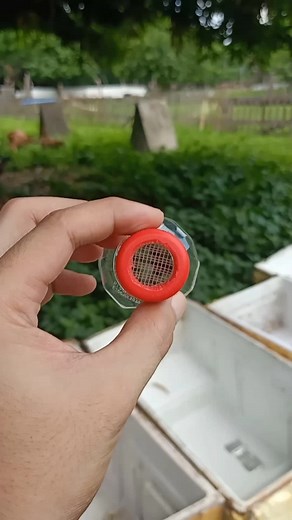 DIY overflow using c2 plastic bottle #diy #diyproject #diyoverflow #diycraft #reftub #guppynest