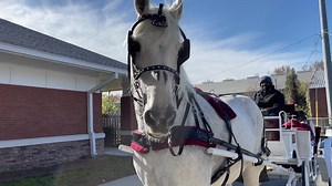 Seniors at the Elaine H. Lucas Senior Center had a magical experience to get them in the holiday spirit. On November 17, they participated in the Polar Express for Seniors. They took a ride on a horse drawn carriage around Carolyn Crayton Park and enjoyed some hot chocolate. | Macon Bibb County