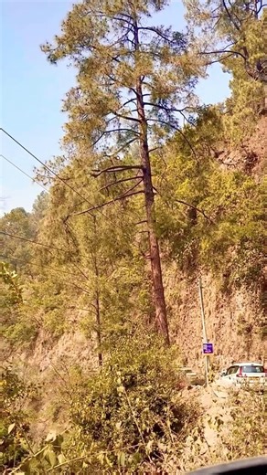 #youtubeshorts #motivation‪@navyarv2121‬