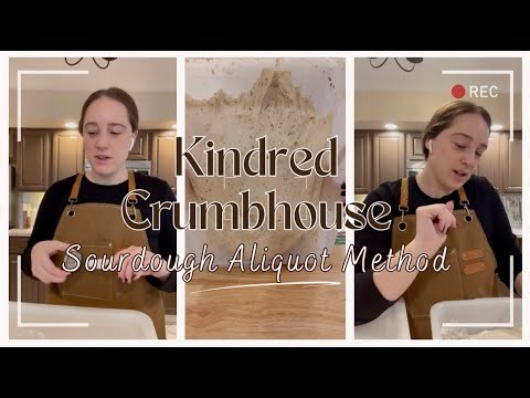 I Tried the Aliquot Method for Sourdough (Here’s What Happened)