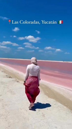Descubre un espectáculo de colores visitando las Coloradas 🩷🦩 #yucatan #visitayucatan #lascoloradas #tours #travel #visitamexico #mexico 📸 Video: @noooratheexplorer | Explorando Mérida