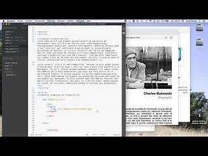 figure et figcaption pour une grille HTML/CSS (grid)