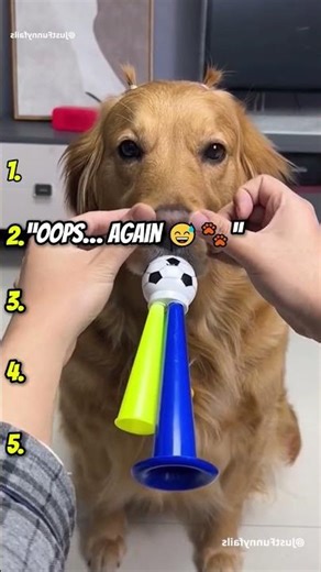 Top 5 Funniest Dog Moments 😂 | You Won’t Stop Laughing! #viral #funny #memes #dogsfunny #comedy