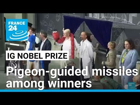 Pigeon-guided missiles, drunken earthworm study win Ig Nobel prizes