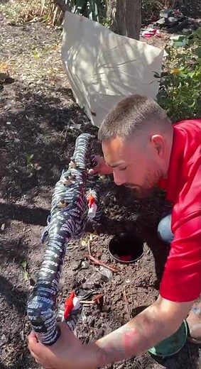 Reinstalling Your RPZ Backflow? Don’t Miss This Step!
