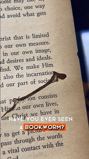 Is a Bookworm an actual worm? Ever seen one? #bookworm #bookworms #booktube #bugs #neverseenbefore