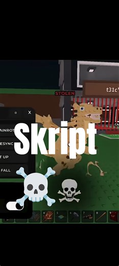 hacker skript ☠️