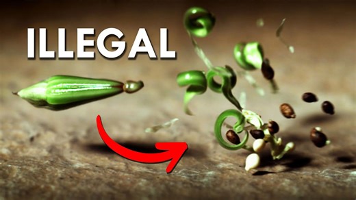 The Most Dangerous Plant You’ll Ever See