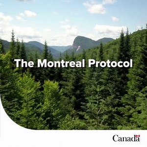 Tomorrow is International Day for the Preservation of the Ozone...