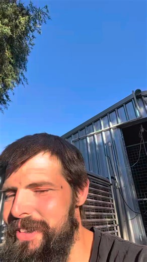 Wag Away Stayz on Reels