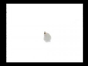 Nickelodeon - The Wild Thornberrys Bumper (2001) (Jimmy Neutron Version)