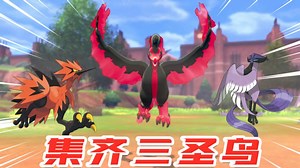 宝可梦剑盾：河马哥一球制服火焰鸟，集齐了伽勒尔地区三圣鸟