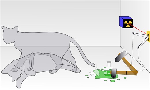 Scientists trap Schrödinger's Cat in quantum superposition