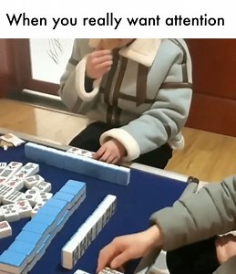 2.4K views · 17 reactions | I think the cat won, right? #grumpycats #catoftheday #catofinstagram #catlover | Grumpy cats | Facebook