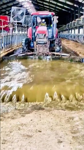 Manure Tsunami: High-Efficiency Barn Cleaning in Action.