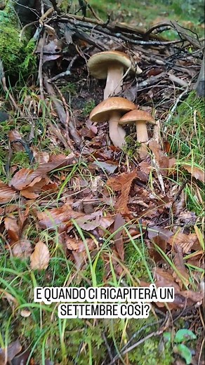 53 reactions · 22 shares | Poco da aggiungere un Settembre...