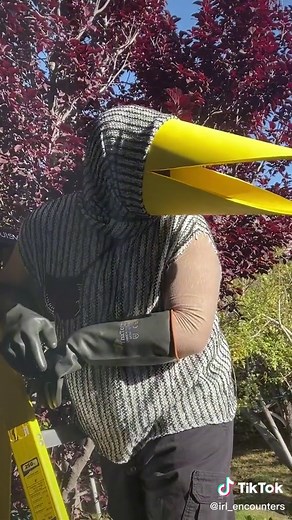 Random Encounters on TikTok