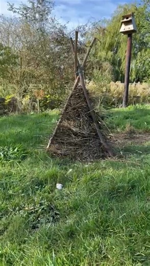 2.1K views · 107 reactions | Phil built a bug snug this weekend! How gorgeous! We know that these snugs are also home to toads, frogs and mice in our wildflower meadow. Plus they look so cute too! We’ve also left other areas of wildflower seed heads, including wild carrots, to provide winter homes for bugs 璉‍⬛者 | Little Silver Hedgehog | Facebook