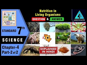 Nutrition in Living Organisms | Std 7 | Science | Chapter 4 | Part 2/2 | Maharashtra Board