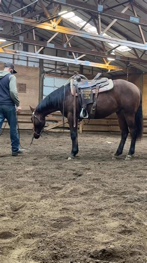 Harrell-Mackenzie Quarter Horses training philosophy…we emphasize groundwork as the foundation of our sale colt training. Before these colts ever carry a rider, we feel the lessons learned on the ground shape their attitude and their confidence. It not only prepares them for the next step, it gives them assurance and supports their future. . • Drop by anytime and watch the training as these colts progress* Harrell Mackenzie Quarter Horse Sale March 2nd | Harrell Mackenzie Quarter Horses