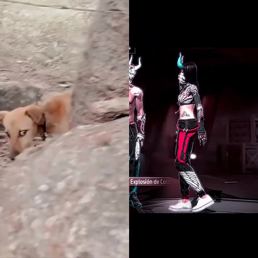 #CapCut #cringeff #freefire #globodetexto