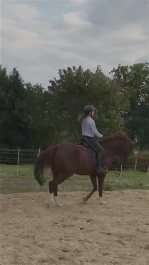 Mein Vorher Nachher Sitz