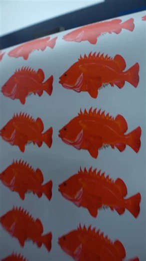 StickerBros Custom Stickers on Instagram: "Hook 🪝Line 🎣 and sticker . . . #stickershop #printshop #custom #customized #customstickers #fishing #printdesign #design #art #artists #stickers"