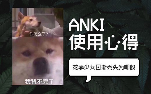 ANKI使用方法 | 医学院deck推荐 | 学习APP分享