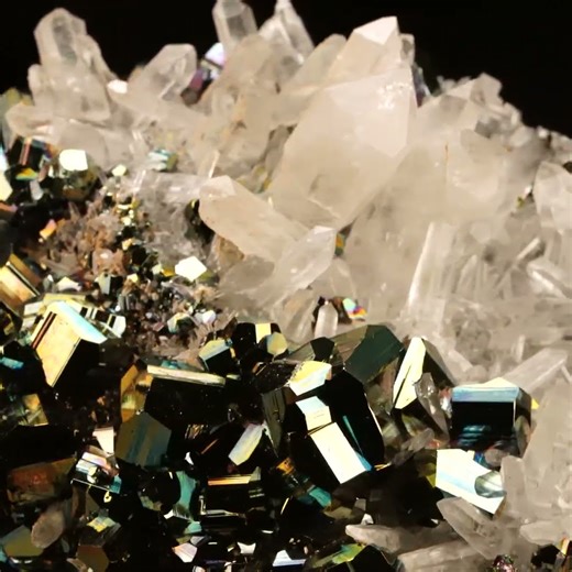 A true collector’s masterpiece ✨