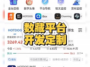 数字藏品APP平台开发，ibox数藏系统搭建，多套成品案例，精美ui按需定制，源码可交付