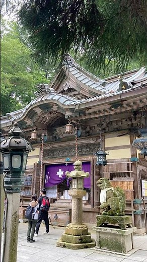 【ぶらり旅】妙見山をハイキング！