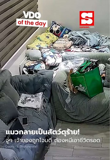VDO of the Day : แมวกลายเป็นสัตว์ดุร้าย! เจ้าของหนีเอาชีวิตรอด จู่ ๆ ถูกโจมตีขย้ำแบบเอาเป็นเอาตาย ได้รับบาดเจ็บเสียเลือดมาก ยังไม่รู้อะไรคือสาเหตุให้แมวก้าวร้าวขนาดนี้ #ต่างประเทศ #แมว #VDOoftheDay #sanook