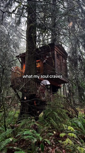 A cozy treehouse escape in the forest 🌲✨ Captured by @Tate | Nature in Frames #treehouse #washington #getaway #forest #cabin