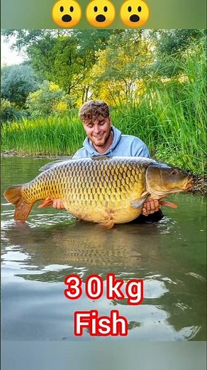 “This Might Be the Biggest Carp Ever Caught!”