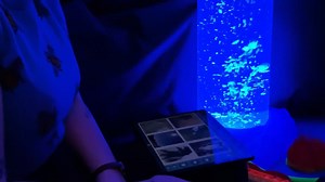 1.3K views · 44 reactions | We recently launched our new Multi-Sensory Room in the Arts Millennium Building, which has been designed for our neurodiverse students ❤️ It offers custom sensory experiences and will be open for bookings soon! : Glen Mulcahy #UniversityOfGalway #GalwaysThePlace | University of Galway | Facebook